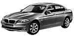 BMW F10 U245D Fault Code